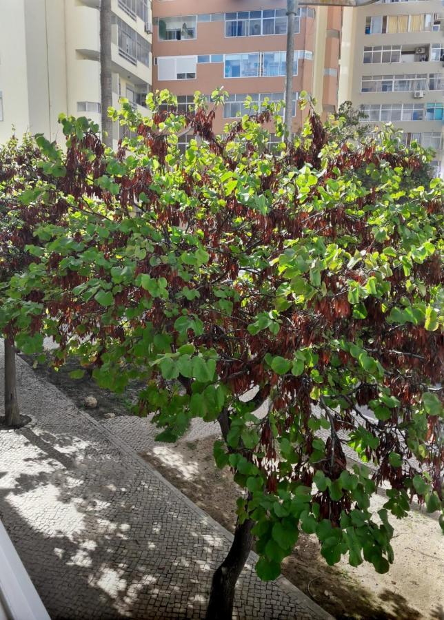 Casinha Da Ria Apartment FAO Exterior photo